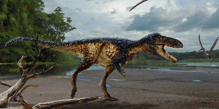 Phát hiện bằng chứng giải thích sự tiến hóa của khủng long bạo chúa