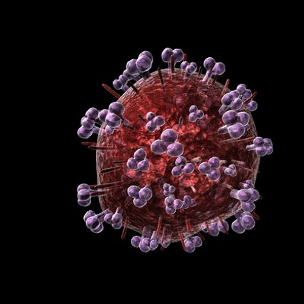 Phát hiện bí mật về tế bào kháng virus HIV tự nhiên