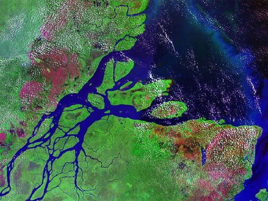 Phát hiện biển nước ngọt ngầm dưới lòng đất Amazon