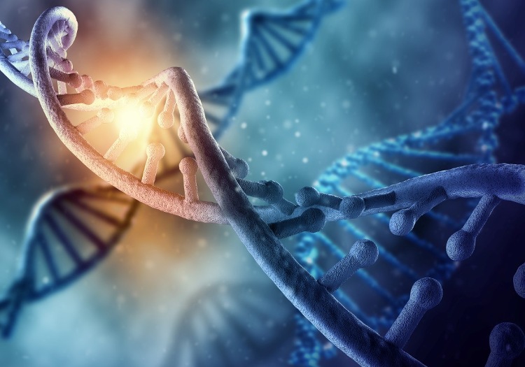 Phát hiện bộ gen người có chứa ADN của virus cổ đại