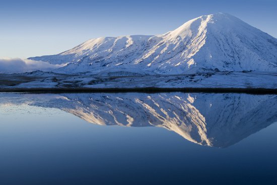 Phát hiện bộ xương thủy quái ở Siberia