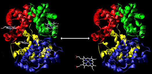 Phát hiện enzyme kéo dài cơn đau sau tổn thương