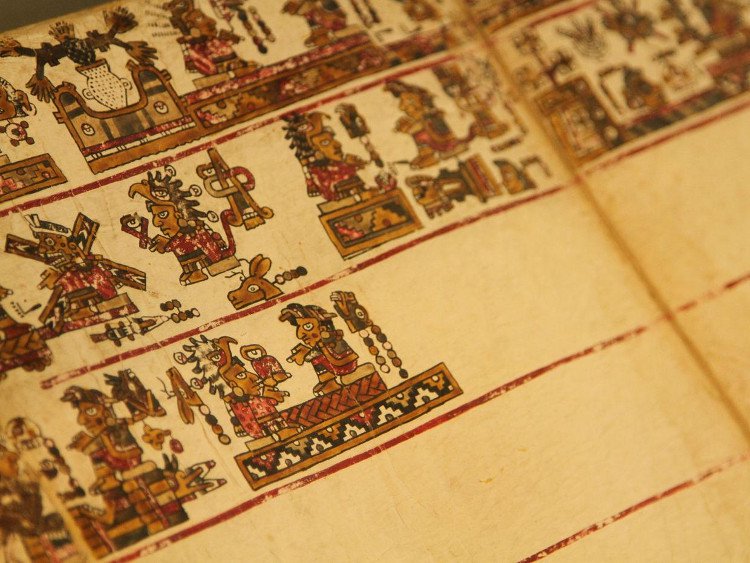 Phát hiện hình vẽ kỳ bí trong sách cổ 500 tuổi