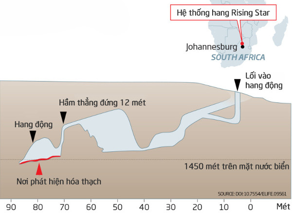 Phát hiện họ hàng mới của loài người ở Nam Phi