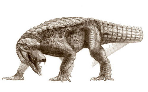 Phát hiện hóa thạch 5 loài cá sấu 100 triệu năm
