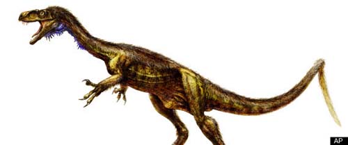 Phát hiện hóa thạch của một loài khủng long mới