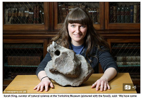 Phát hiện hóa thạch khủng long cực hiếm ở Anh