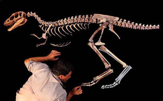Phát hiện hóa thạch khủng long đang mang thai