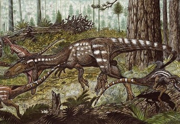 Phát hiện hóa thạch loài khủng long ăn thịt mới ở Nam Mỹ