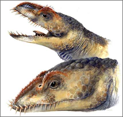 Phát hiện loài bò sát biển mới cùng kỳ khủng long