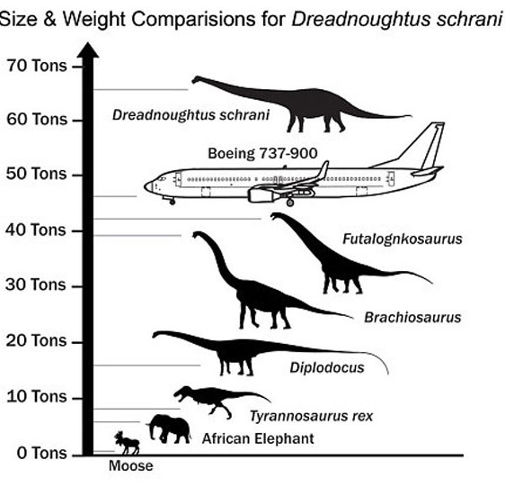 Phát hiện loài khủng long dài 26m, nặng 65 tấn