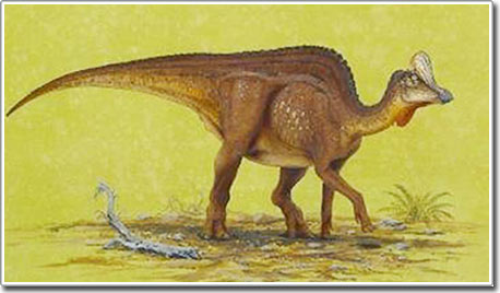 Phát hiện loài khủng long mỏ vịt khổng lồ mới ở Mexico