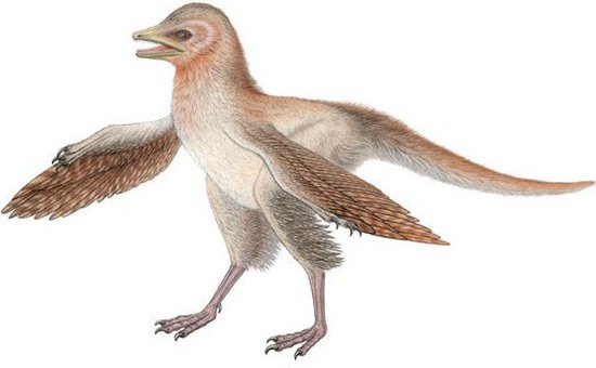 Phát hiện loài khủng long tí hon có lông từ kỷ Jura