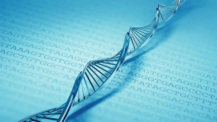 Phát hiện lớp thông tin thứ hai ẩn trong DNA