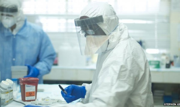 Phát hiện manh mối di truyền về sự bùng phát dịch Ebola