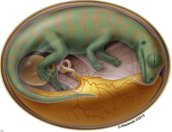 Phát hiện ổ trứng lúc nhúc bào thai khủng long