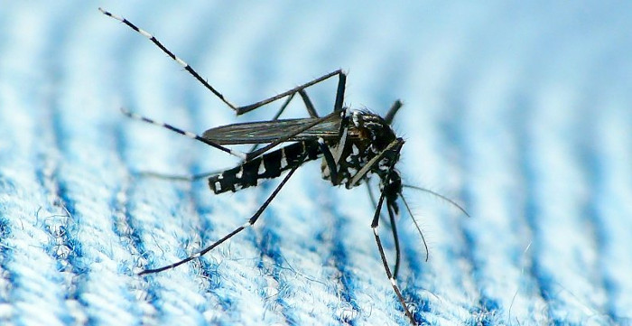 Phát hiện trường hợp lây nhiễm Zika qua đường tình dục đầu tiên tại Mỹ