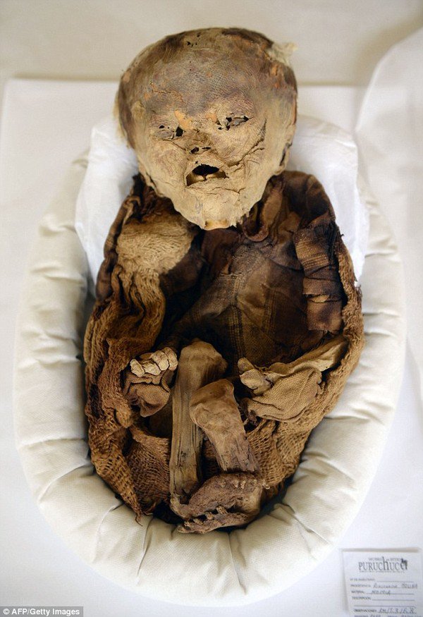 Phát hiện xác ướp em bé thời tiền Inca tại Peru