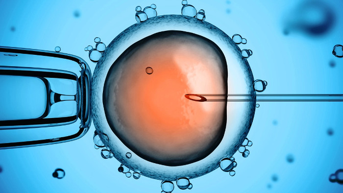 Phát triển thành công tinh trùng nhân tạo thụ tinh tốt như như đồ thật nhờ tế bào gốc