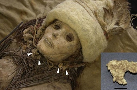 Pho mát 3600 năm tuổi trên xác ướp cổ đại