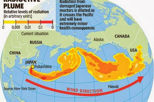 Phóng xạ Fukushima đến bờ biển Bắc Mỹ