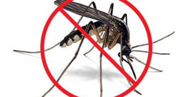 Phun thuốc diệt muỗi coi chừng ngộ độc