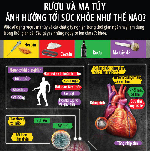 Quá trình hủy hoại con người của rượu và ma túy