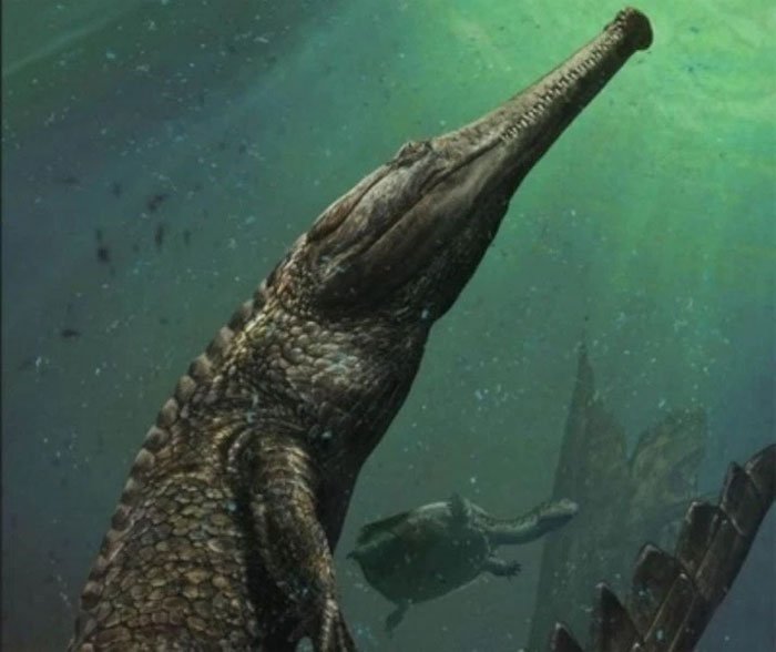 Quái vật cá sấu cổ đại nặng ba tấn sống dưới biển