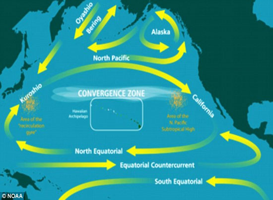 Rác sau sóng thần ở Nhật trôi tới Mỹ