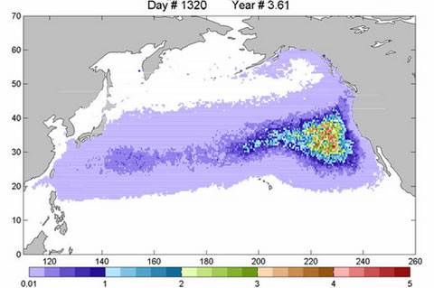 Rác sóng thần Nhật tới Hawaii