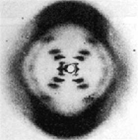 Rosalind Franklin và sự kiện khám phá cấu trúc ADN