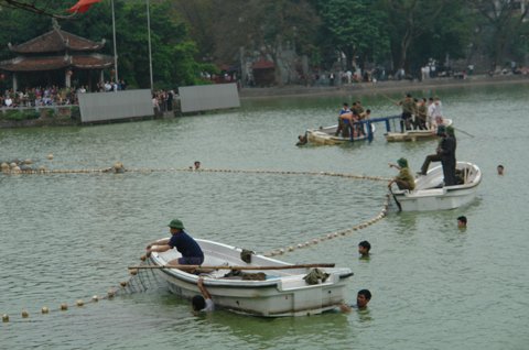 Rùa hồ Gươm được đưa lên cạn