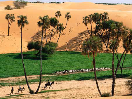 Sa mạc Sahara sẽ hồi sinh nhờ biến đổi khí hậu?