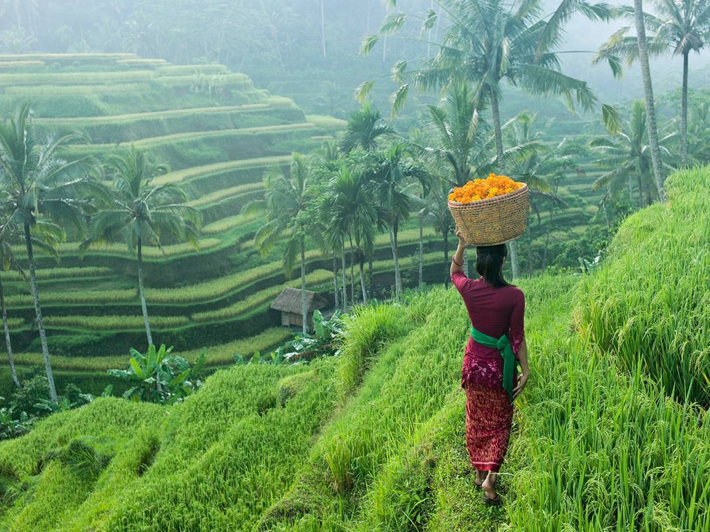 Sa Pa, Hội An, Hạ Long vào top cảnh đẹp nhất châu Á