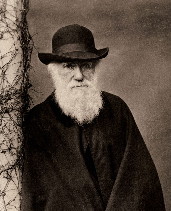 Sáng tỏ nghi án Darwin “đạo” ý tưởng