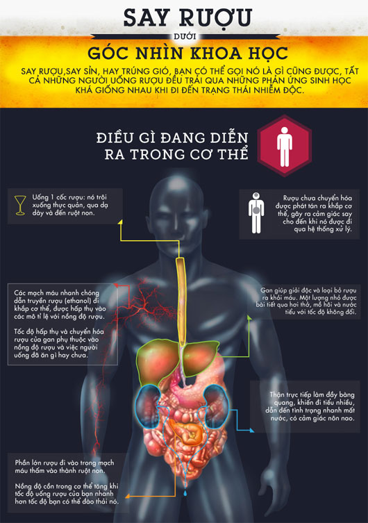 Say rượu dưới góc nhìn khoa học