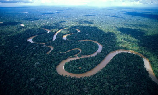 Sông Amazon thải ra hầu hết lượng carbon đã hấp thụ bởi rừng Amazon