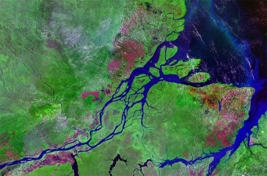 Sông Amazon thải ra hầu hết lượng carbon đã hấp thụ bởi rừng Amazon