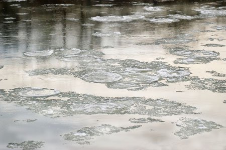 Sông băng tan chảy khiến khủng hoảng lương thực