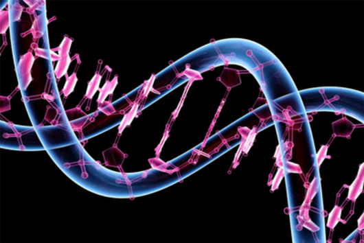 Sony lập công ty liên doanh nghiên cứu bộ mã di truyền