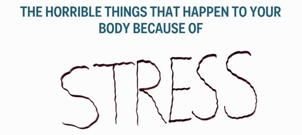 Stress gây hại đến cơ thể người như thế nào?