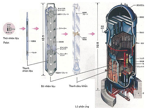 Sự cố tại Fukushima I qua cái nhìn chuyên gia