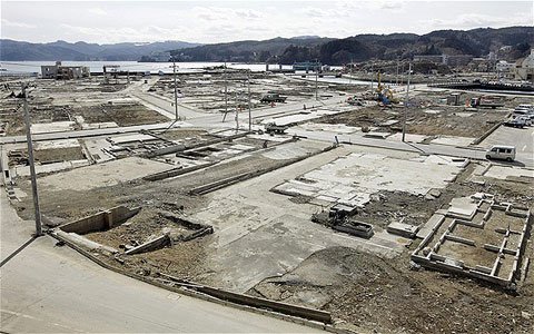 Sự sống hồi sinh trên vùng đất chết Fukushima