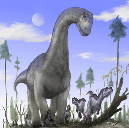 Tại sao khủng long ăn cỏ có cổ dài?