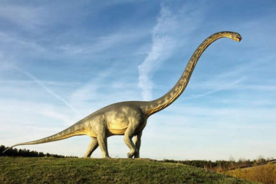 Tại sao khủng long cổ dài có kích thước khổng lồ?