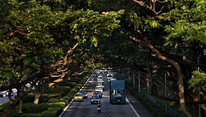 Tầm nhìn phủ xanh Singapore của ông Lý Quang Diệu