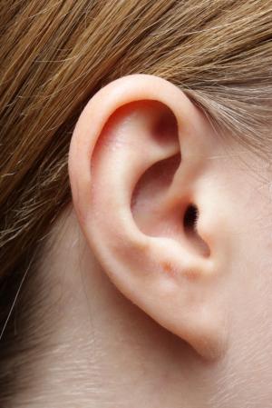Tế bào lông giúp khôi phục khả năng nghe
