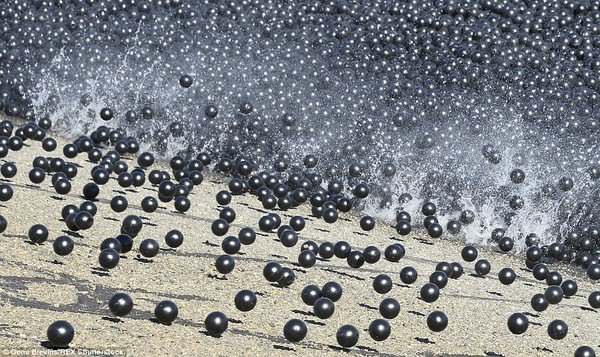 Thả 96 triệu quả bóng nhựa vào hồ nước để chống hạn hán