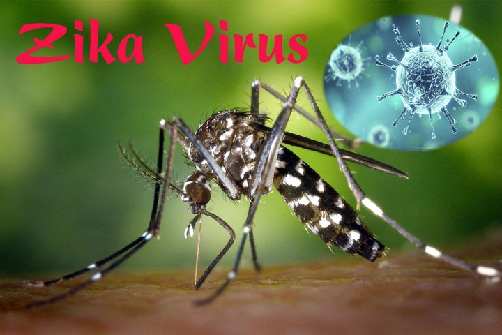 Thắc mắc phổ biến khi virus Zika lan rộng ở Sài Gòn