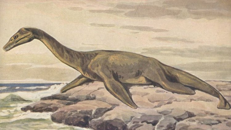 Thám hiểm Nam Cực, phát hiện 1 tấn hoá thạch khủng long